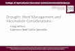 Drought: Herd Management and Vaccination Considerations