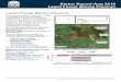 Leard Forest Mining Precinct Status Report
