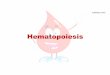 Hematopoiesis - Surendranath College