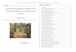 Environmental Management Framework for the Olifants and 