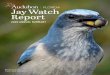 Jay Watch Report - Audubon