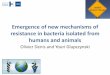 Emergence of new mechanisms of resistance in bacteria 