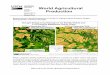 United States Agriculture World Agricultural Production