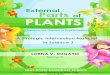 External Parts of PLANTS