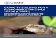 CAPACITY BUILDING FOR A RESPONSIBLE MINERALS TRADE …