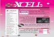 XCELL 19 Newsletter (Q4 95) - Xilinx