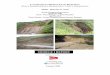 MPWT SEACAP 21 DFID SLOPE STABILISATION TRIALS ON …