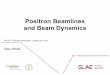 Positron Beamlines and Beam Dynamics