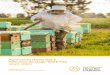 AgriFutures Honey Bee & Pollination Strategic RD&E Plan 