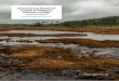 Maintaining Peatland Health to Mitigate Climate Change