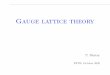 Gauge lattice theory