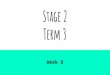 Stage 2 Term 3