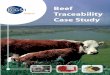 Beef Traceability Case Study - GS1