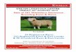 Sale of 367 Whiteface Dartmoor Breeding Ewes & Rams