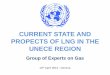 CURRENT STATE AND PROPECTS OF LNG IN THE UNECE REGION