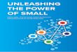 UNLEASHING THE POWER OF SMALL
