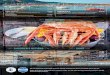 crab-shack-menu 170320 2