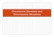 Chromsome Disorders and Chromosome Mutations