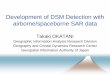 Development of DSM Detection with airborne/spaceborne SAR data