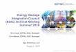 Energy Storage Integration Council (ESIC) General Meeting 