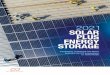 2021 SOLAR PLUS ENERGY STORAGE - india-re-navigator.com