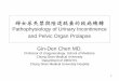 Pathophysiology of female Urinary Incontinence