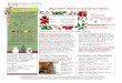 Red Dirt Master Gardener News - uaex.uada.edu