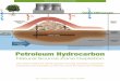 Petroleum Hydrocarbon - AWMA