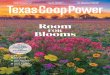 Texas Co-op Power • March 2021