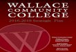 WCC Strategic Planning 2016-2019 Final - Wallace