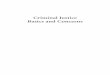 Criminal Justice Basics and Concerns