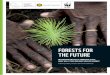 FORESTS FOR THE FUTURE - Universiteit Utrecht