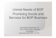 Unmet Needs of BOPUnmet Needs of BOP Promising Goods 