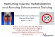 Hamstring Injuries: Rehabilitation and Running Enhancement 