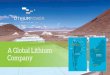 Important notice and disclaimer - Lithium Power International