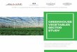 GREENHOUSE VEGETABLES SECTOR STUDY