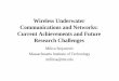 W ireless Underwater Communications and Networks: Current