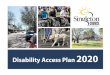 Disability Access Plan 2020