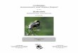 Bobolink (Dolichonyx oryzivorus) - Publications