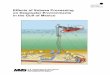 Effects of Subsea Processing on Deepwater Environments in the Gulf