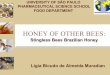 Stingless Bee Honey - Bee-Hexagon