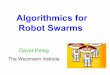 Algorithmics for Robot Swarms