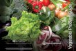 Vegetable Product Guide - Bayer CropScience