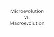 Microevolution vs. Macroevolution - Mr. Volkmann's Virtual Classroom