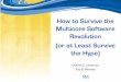 How to Survive the Multicore Software Revolution (or at Least