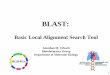 BLAST : Basic Local Alignment Search Tool - MGH-PGA