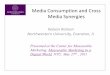 Media Consumption and Cross Media Synergies