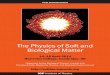 The Physics of Soft and Physical Aspects of Polymer Science