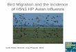 Bird Migration and the incidence of H5N1 HP Avian Influenza