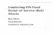 Countering SYN Flood Denial-of-Service (DoS) Attacks